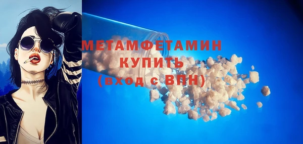 шишки Бородино