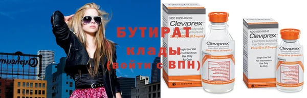 шишки Бородино