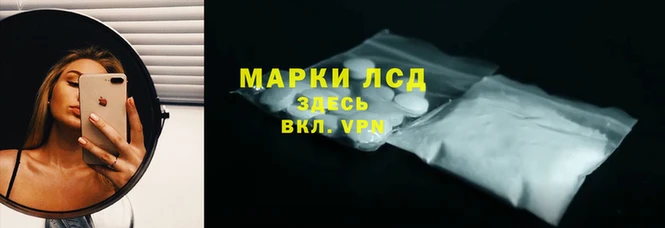 шишки Бородино