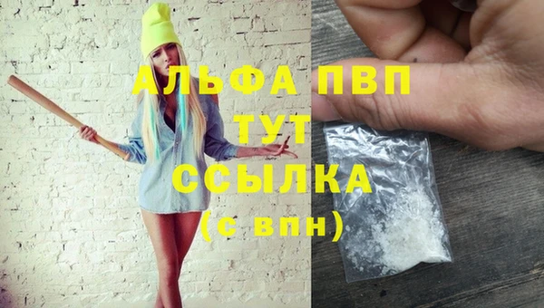 шишки Бородино