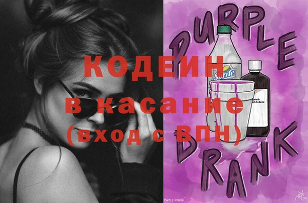 шишки Бородино