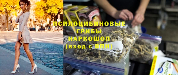 шишки Бородино