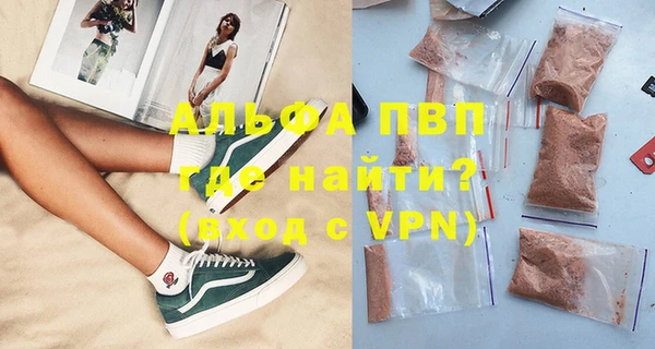 шишки Бородино