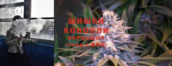 шишки Бородино